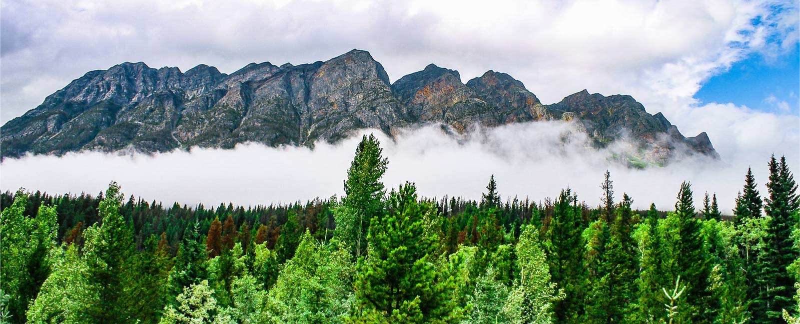 浙江中壢合成材料技術有限公司